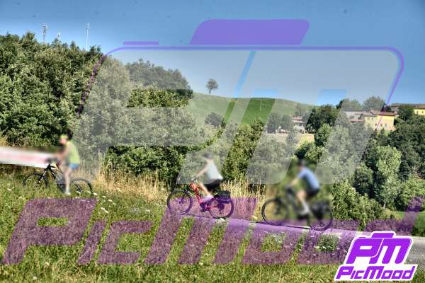 Passo dell Abetone