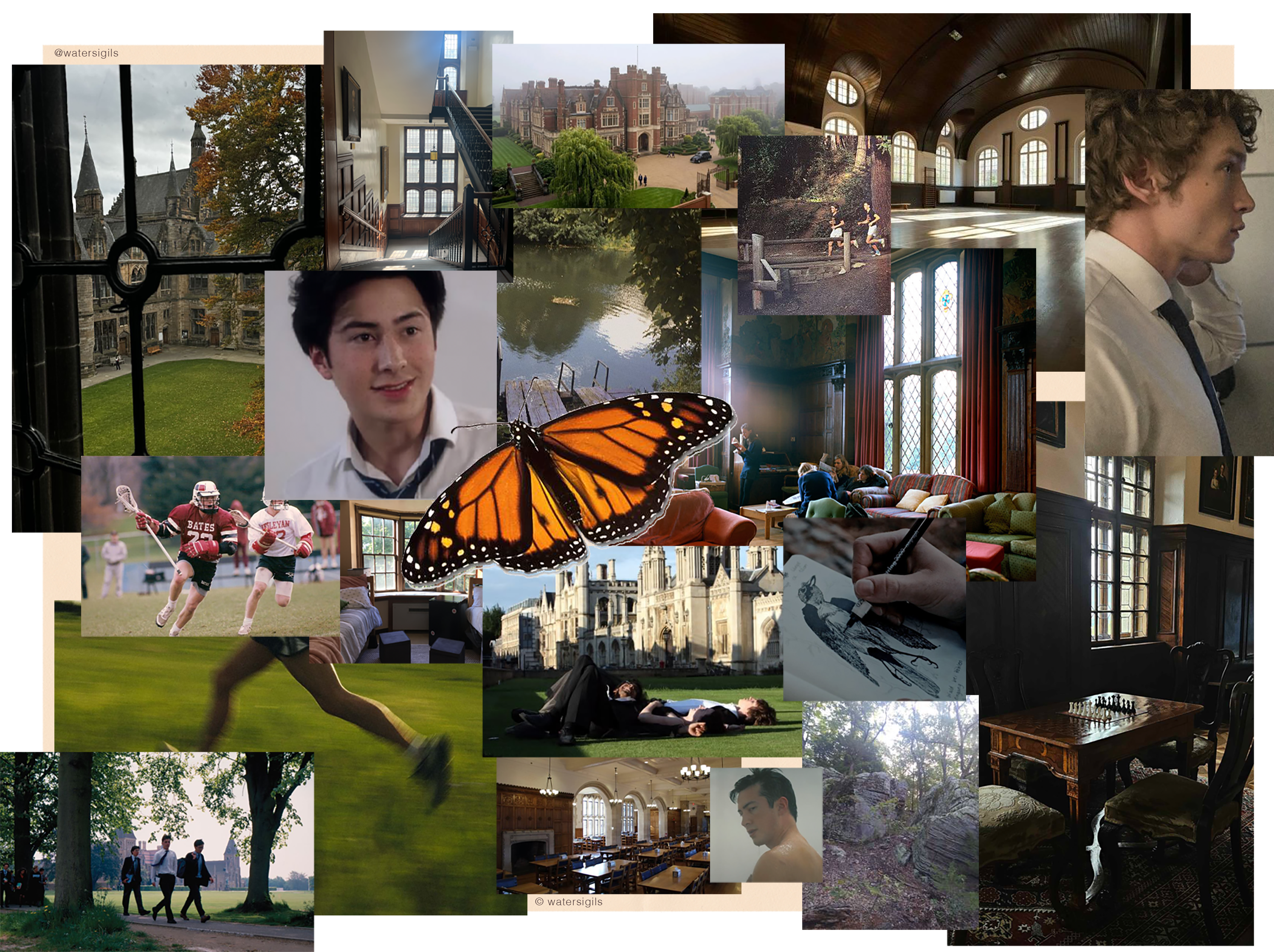chapter 1 collage