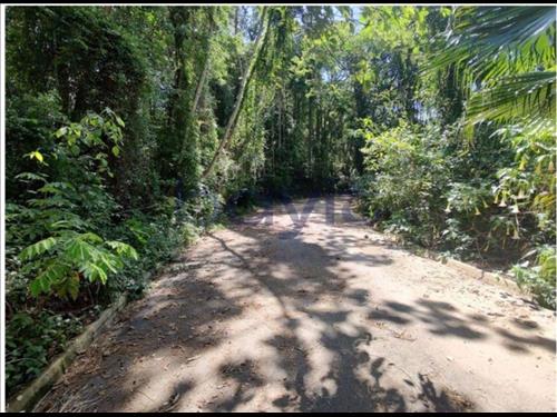 Terreno - 1.043,00m²