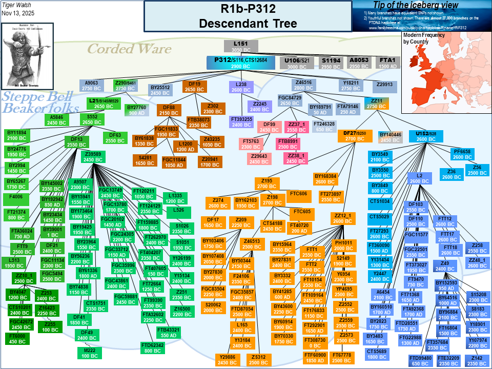 dtree
