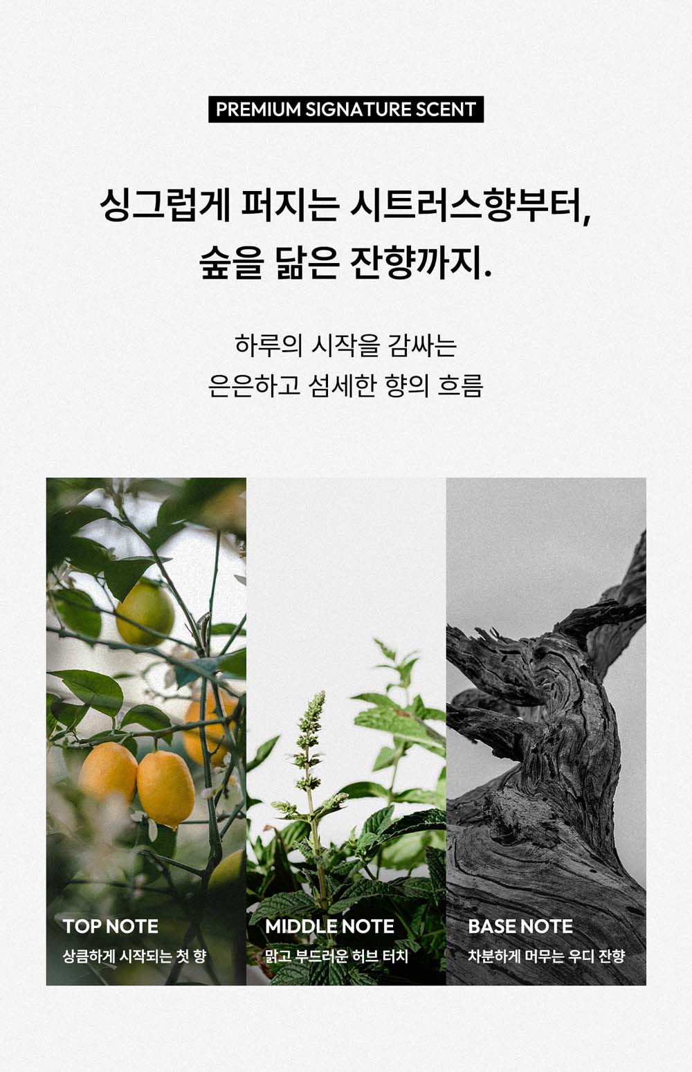 데오드란트 09