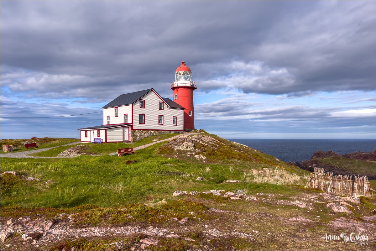 St. John's (I) - Terranova & Labrador: icebergs, puffins y balleneros vascos (29)