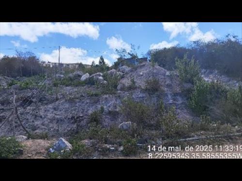Terreno  -   - 260,00m2