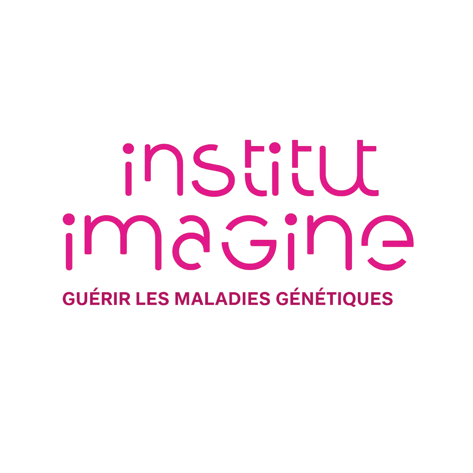 Imagine Institute Logo