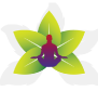 Babu Yugraj Singh Ayurvedic Medical College and Hospital, Lucknow