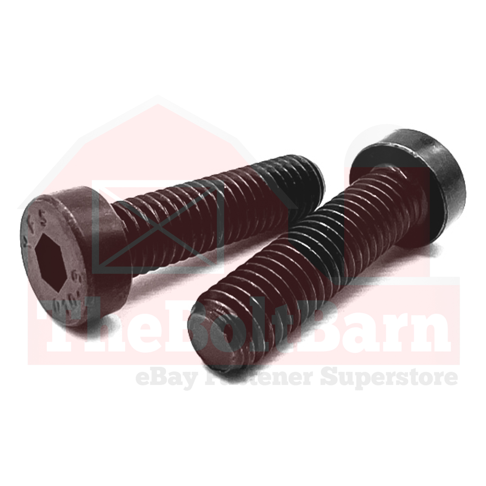 M6-1.00 Class 10.9 Low Socket Head Cap Screws Black Oxide (Pick Length & Qty)