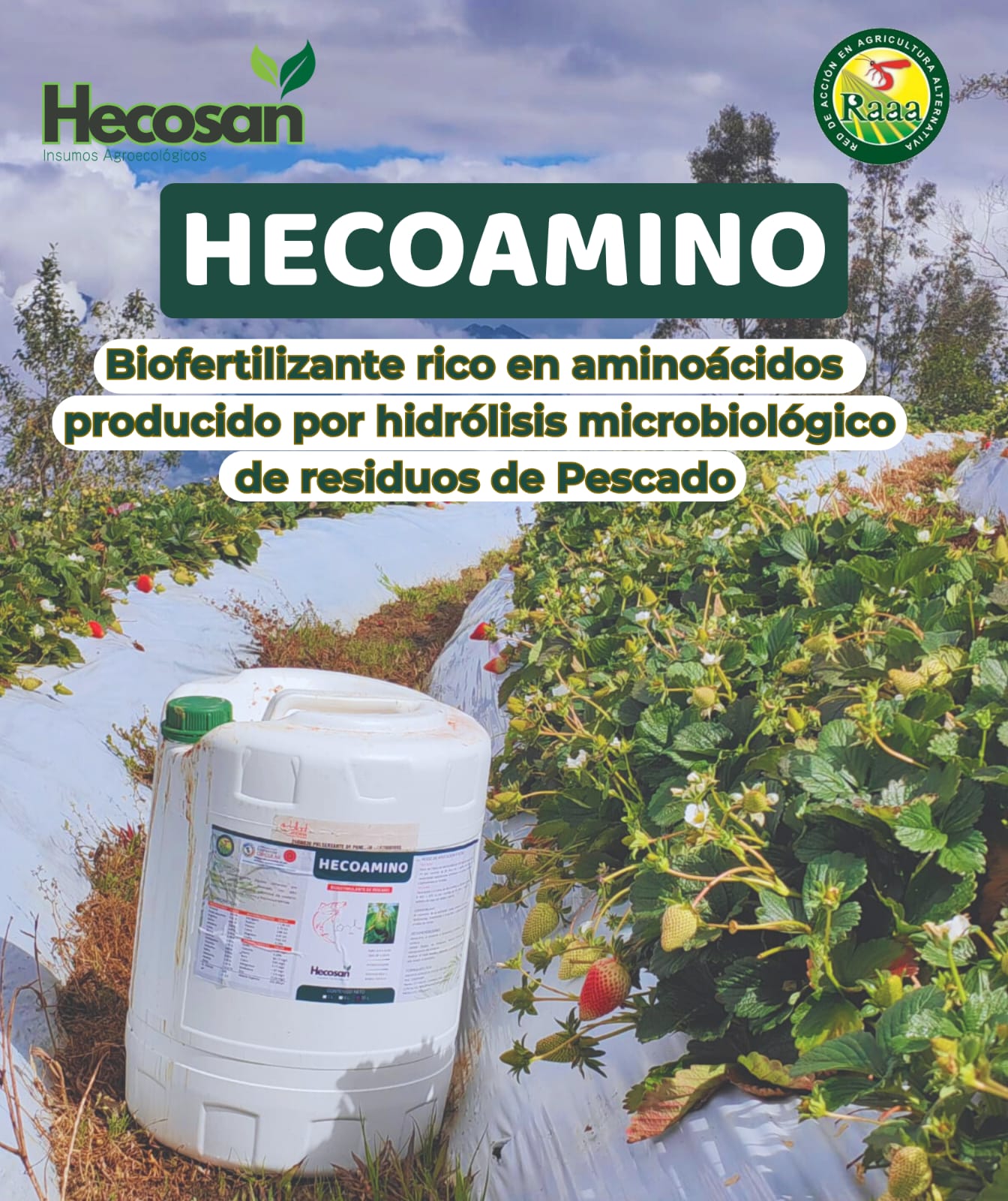 Descripción