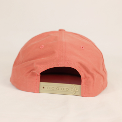 [The Seldom Salmon �����꡼1]