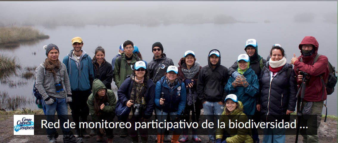 Descripción