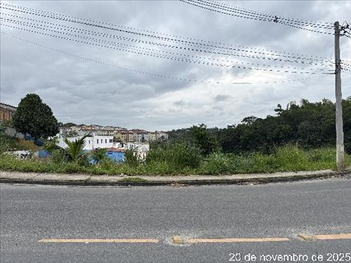 Terreno          -   - 6.000,00m2