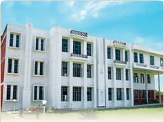 Trident College of Education, Meerut Image