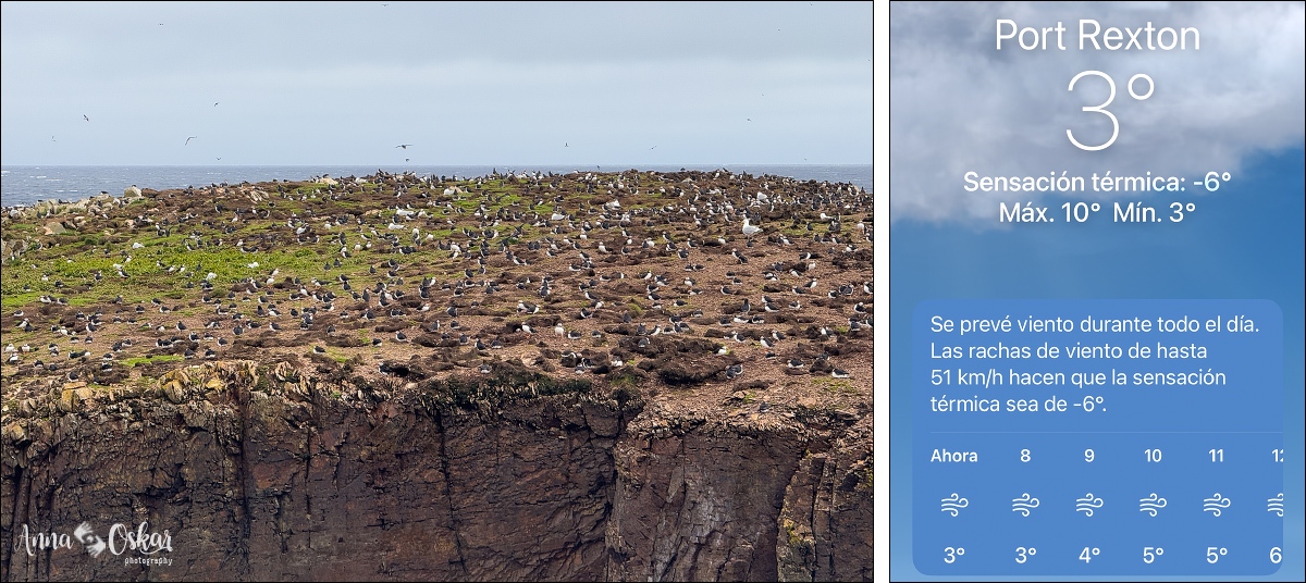 Península de Bonavista (III) - Terranova & Labrador: icebergs, puffins y balleneros vascos (1)