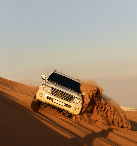 Dune Bashing Experience