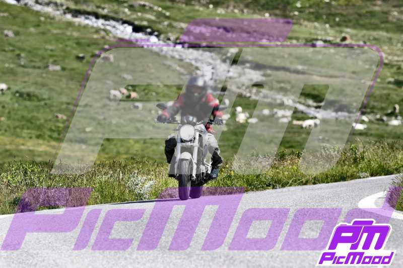 Colle dell'Agnello