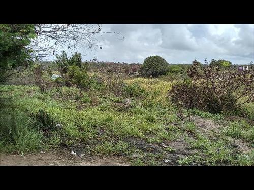 Terreno  -   -