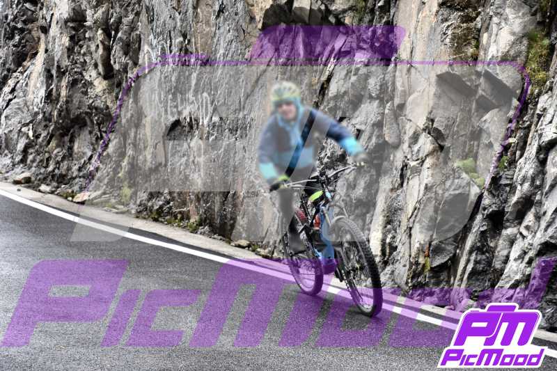 Passo Gavia