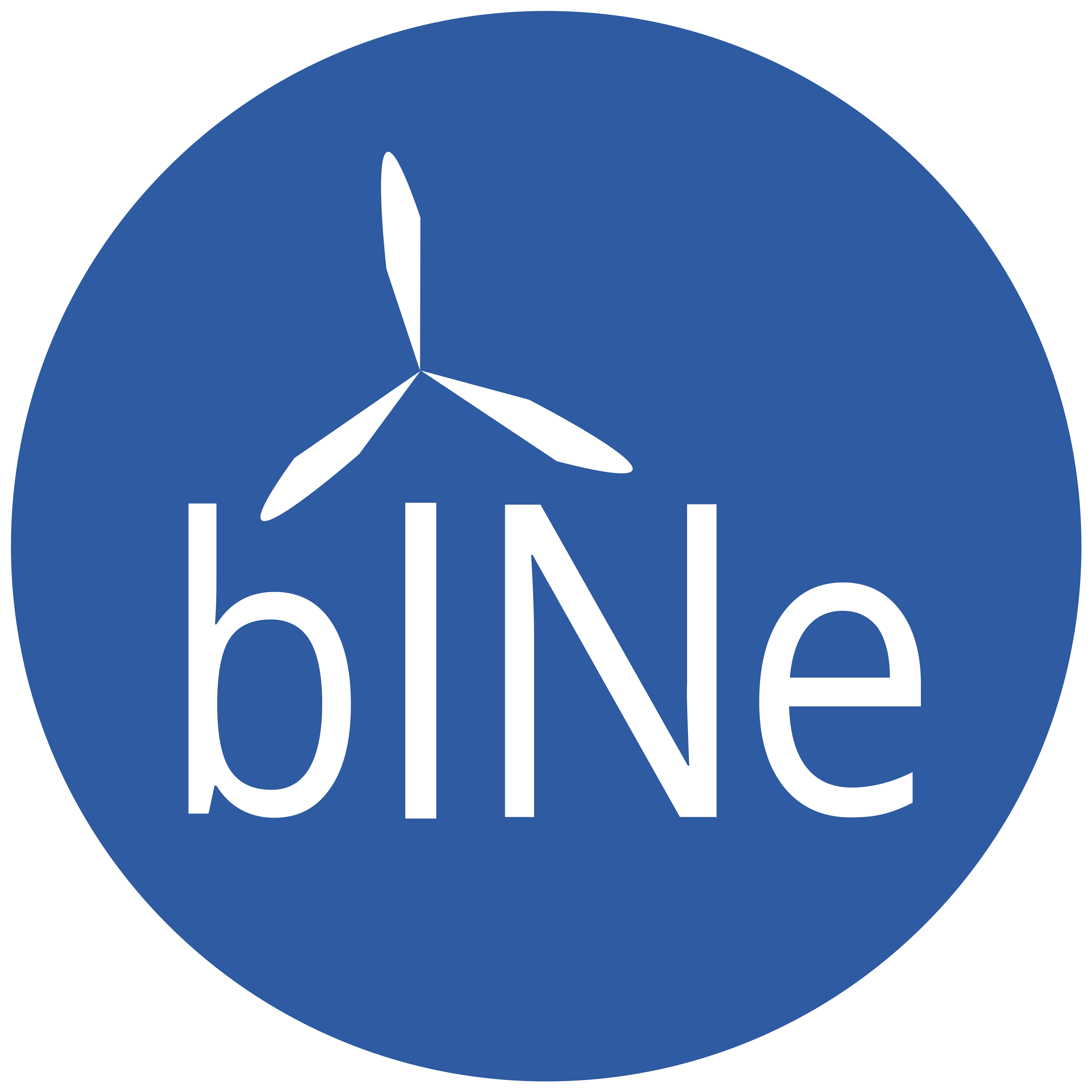 bINe-EnergieGemeinschaft Vorderpfalz Logo