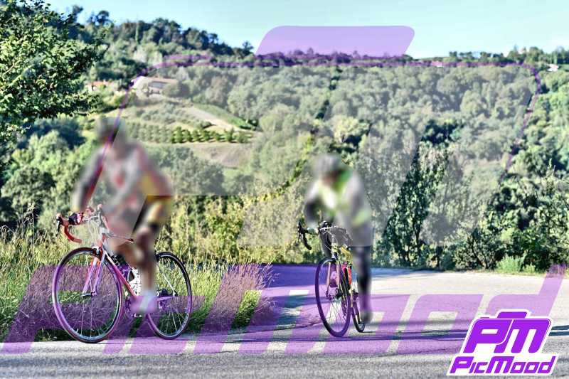 Monferrato