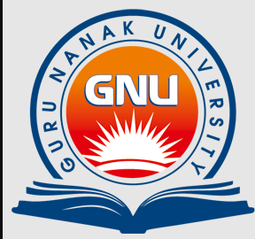 Guru Nanak University