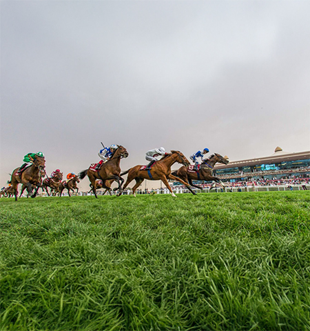 Horse Racing Experience