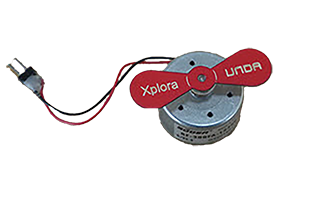 Motor