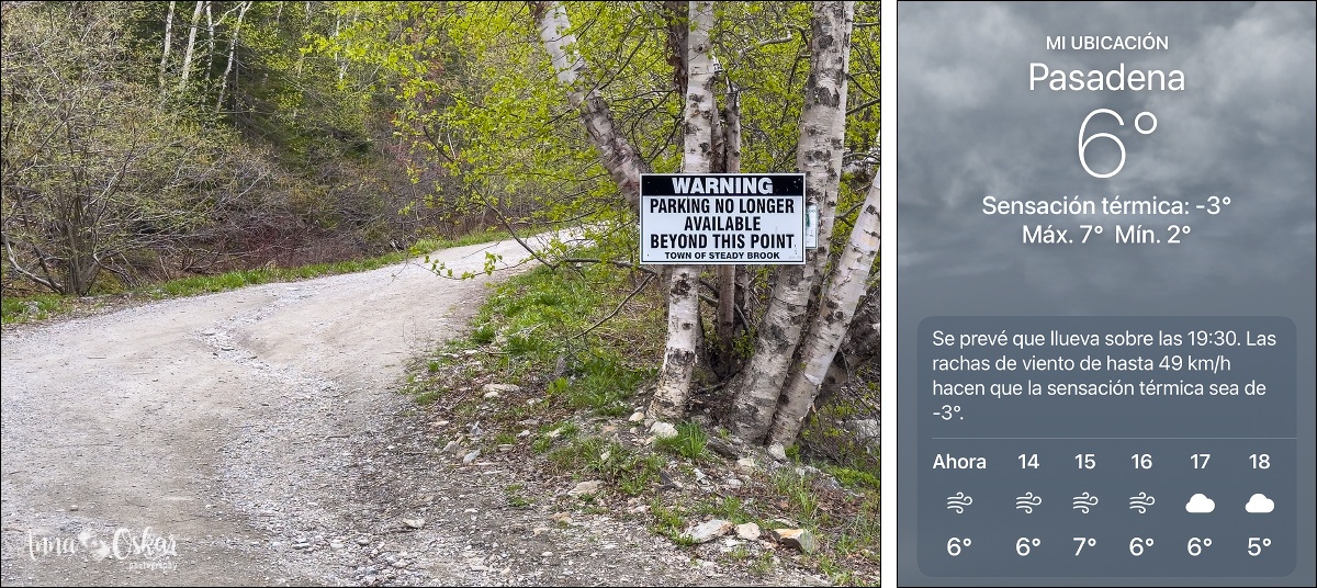 Terranova & Labrador: icebergs, puffins y balleneros vascos - Blogs de Canada - Gros Morne National Park (I) (11)