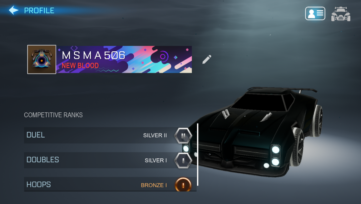 彡 {RL Sideswipe} | Total Items [146] > Titles [PRE-SEASON BRONZE | 20XX ...