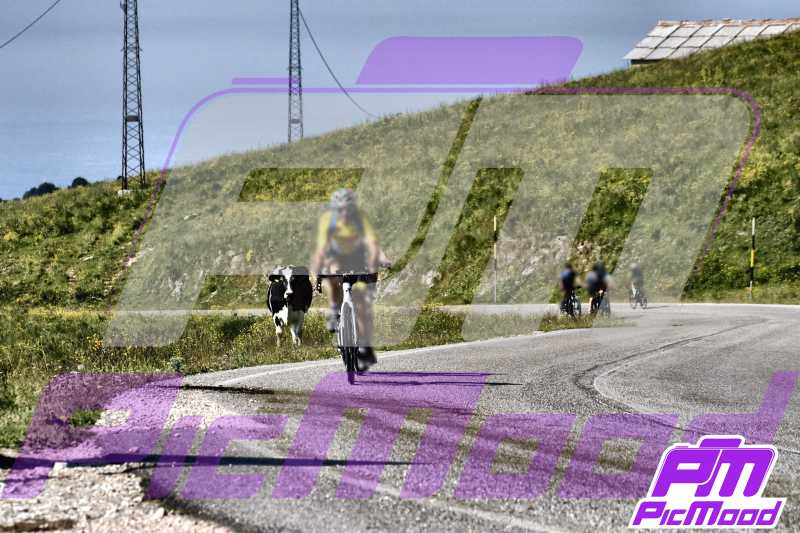 Passo del Branchetto
