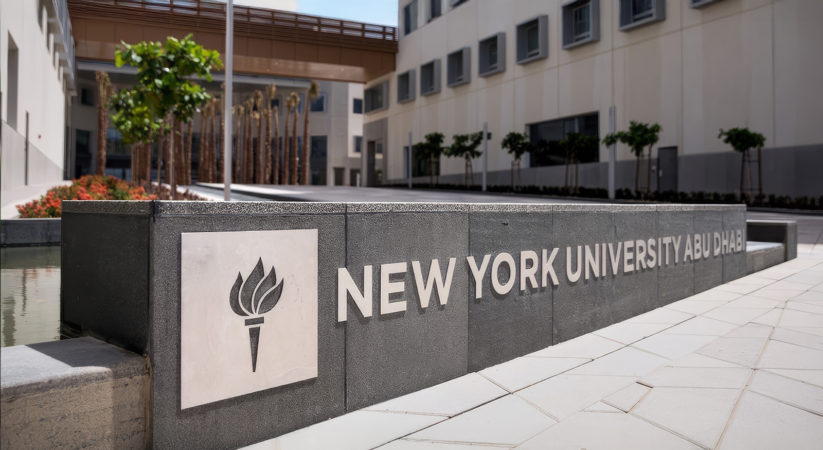 New York University image 3
