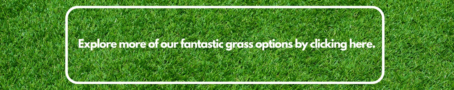 Other Grass Options