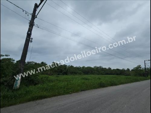 LOTE 080        [26400] TERRENO - Rua Annanias Caetano da...