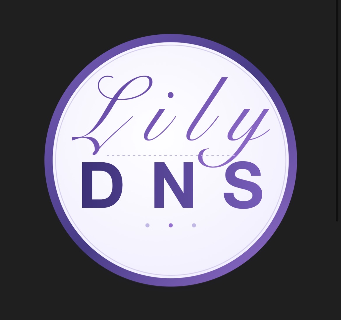 Lily DNS