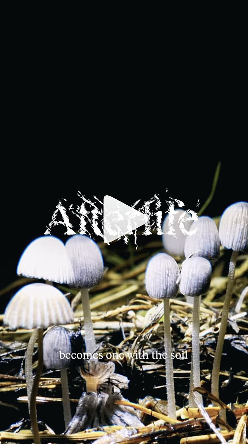 Watch on Instagram