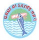 Vidyant Hindu PG College, Lucknow