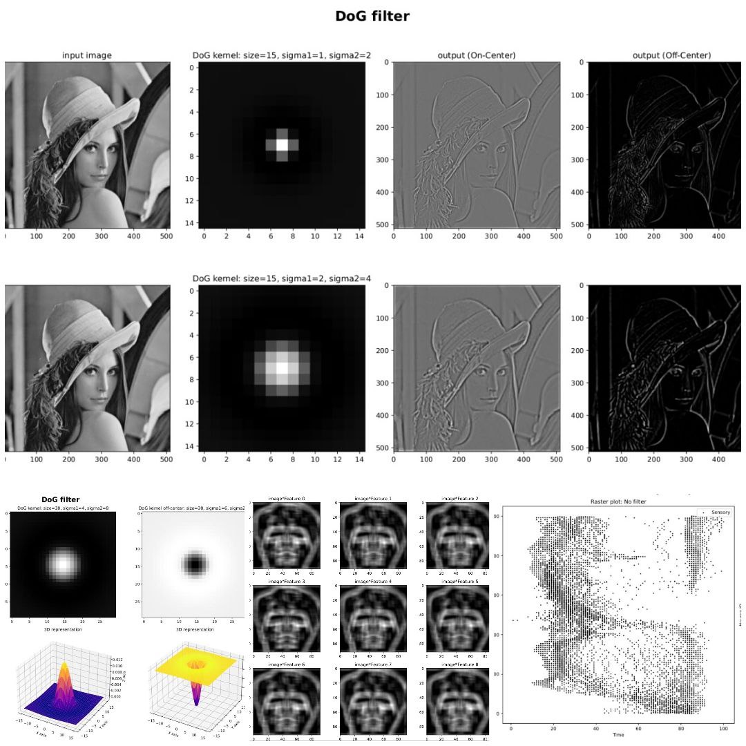 Visual Cortex Simulation Project Image