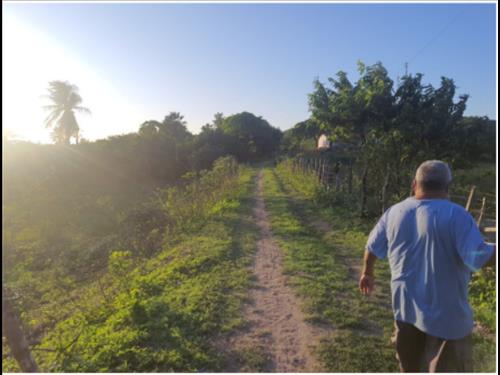 LOTE 222        Terreno situado na Rodovia CE-065, Marangu...