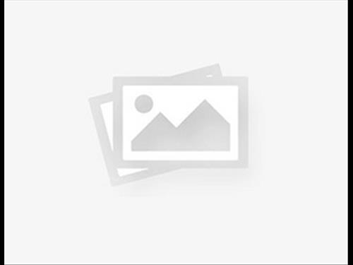 Leilão 25.073 | Imprimir Lotes Título 3º JUIZADO ESPECIAL CÍVEL DE MARINGÁ