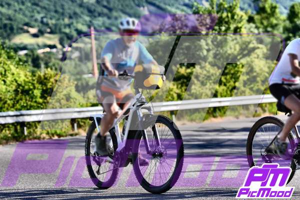 Vernasca