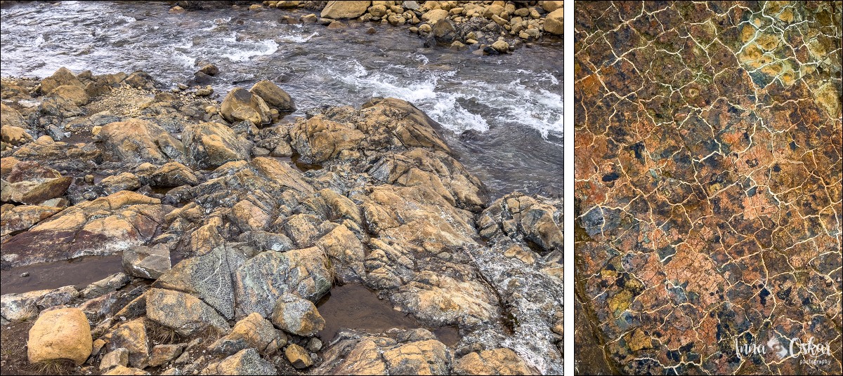 Terranova & Labrador: icebergs, puffins y balleneros vascos - Blogs de Canada - Gros Morne National Park (I) (7)
