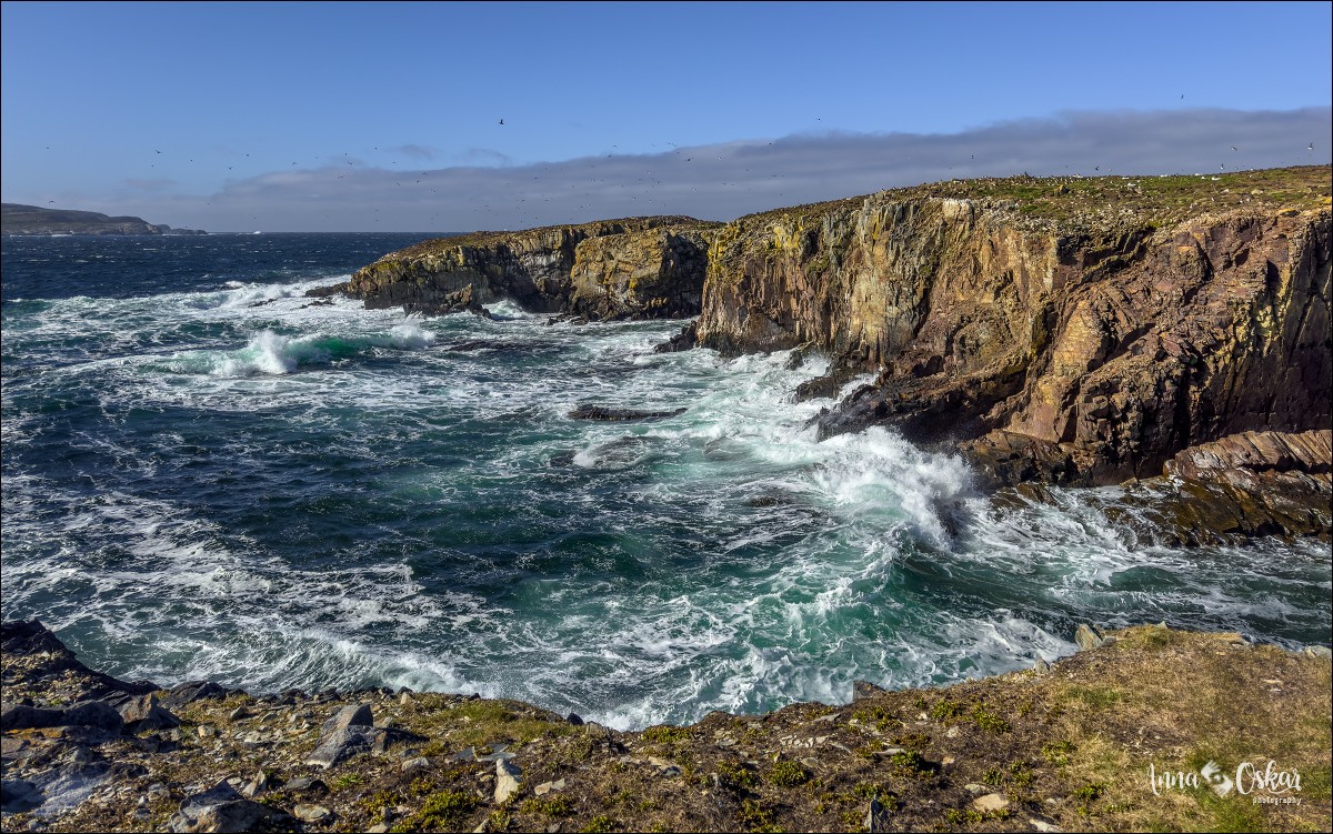 Península de Bonavista (III) - Terranova & Labrador: icebergs, puffins y balleneros vascos (25)