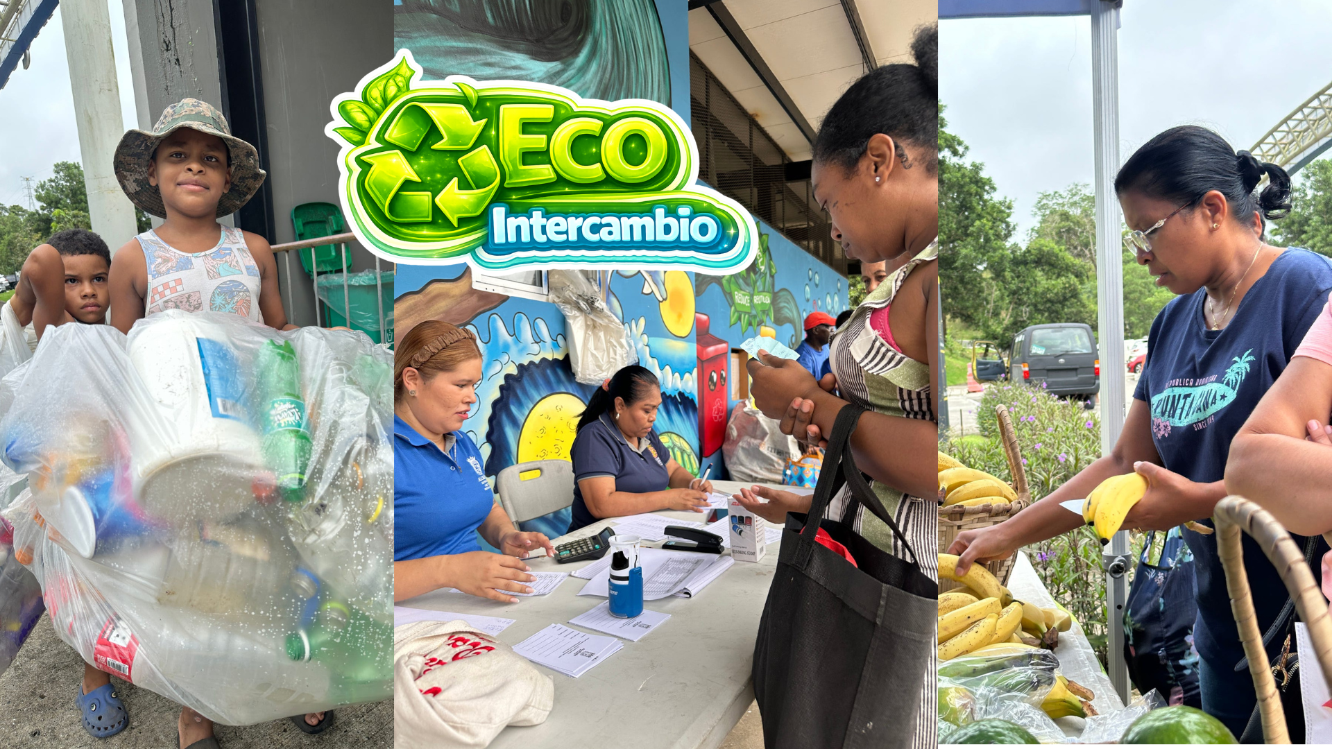Descripción