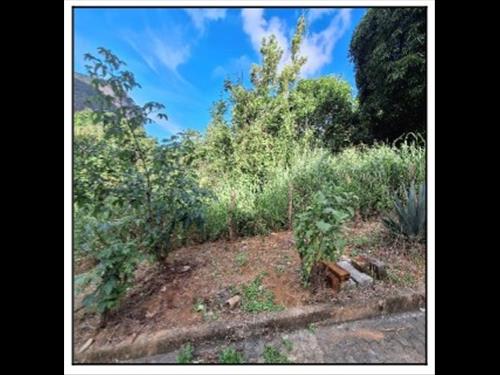 Terreno  -   - 300,00m2