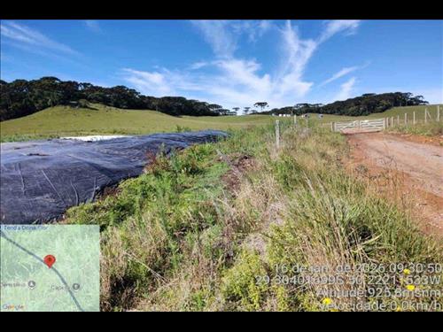 Área de 15,00 HECTARES de terras de CAMPO E MATOS