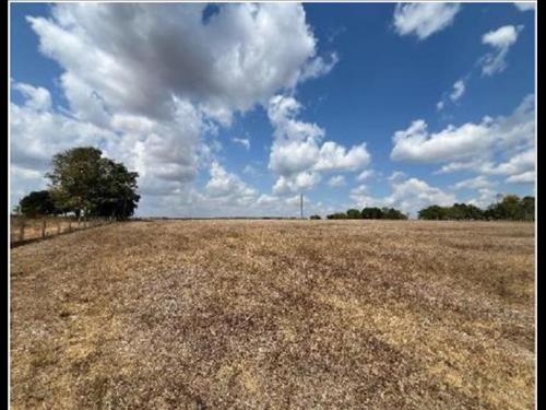 1 Terreno | Área de 15,8094ha | Lotes 54 e 56 | Gleba 01 | Ariquemes/RO