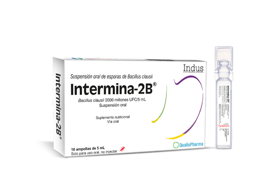 Intermina-2B