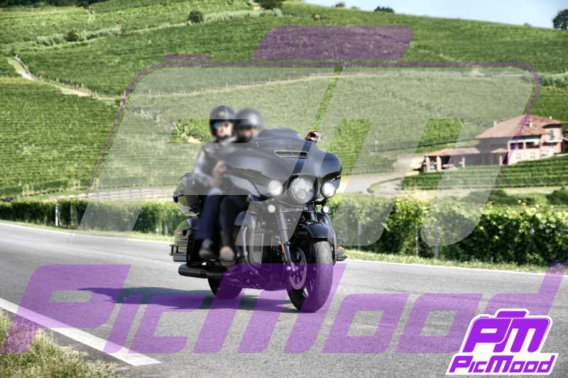 Barolo