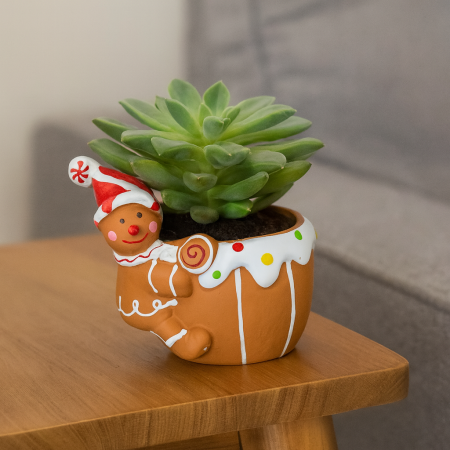 Mini macetero navideño cerámica, 9.5x7.5cm