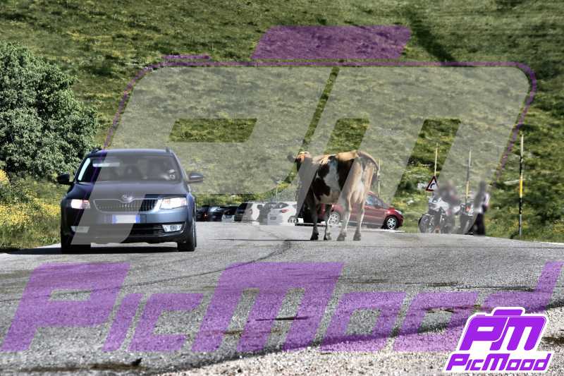 Passo del Branchetto