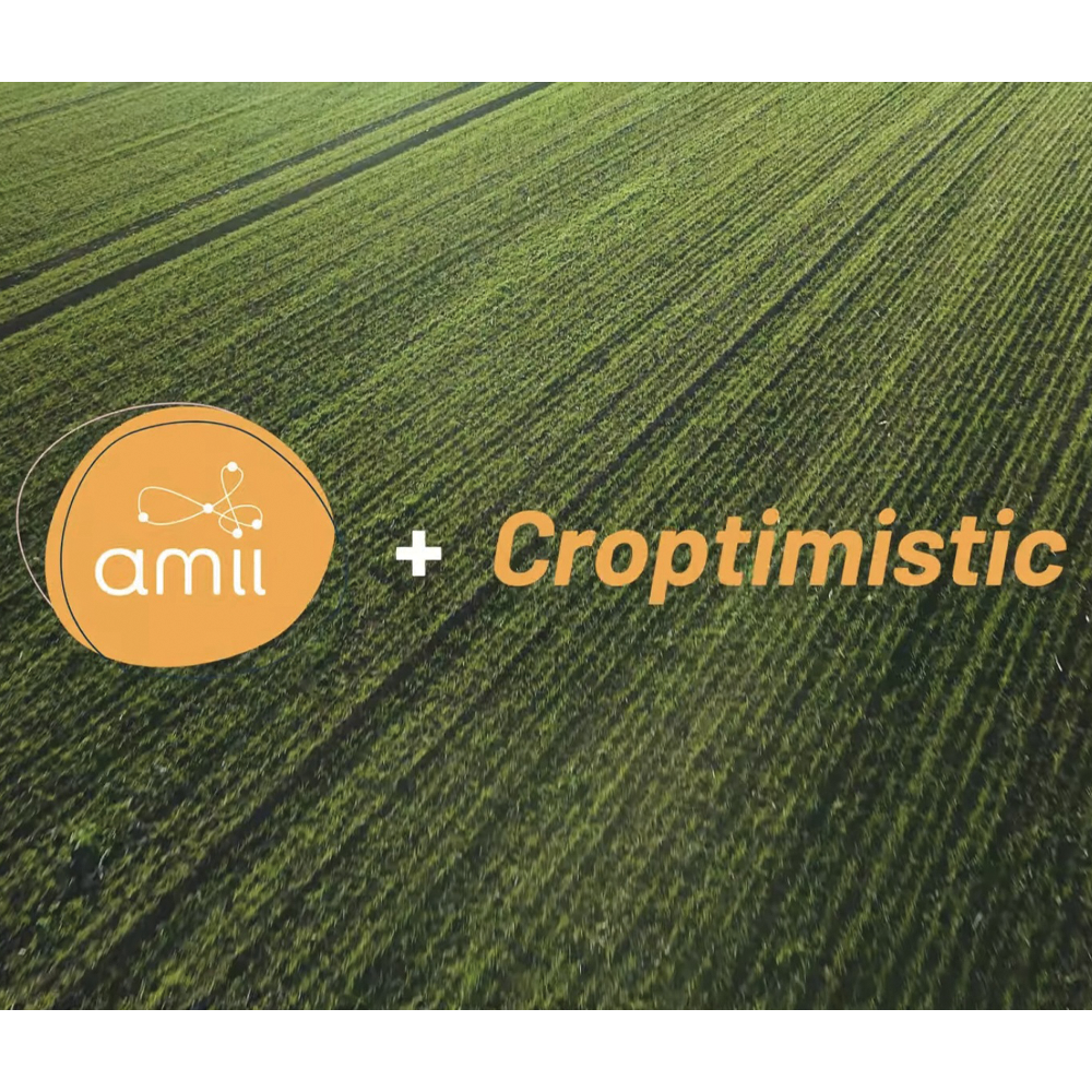 Amii and Croptimistic: Advancing Early-Season Precision Agriculture