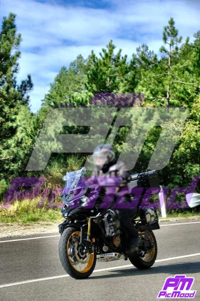 Passo del Muraglione